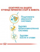 Royal Canin Bulldog Puppy - Сухи храни