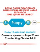 Royal Canin Cavalier King Charles Puppy - Сухи храни