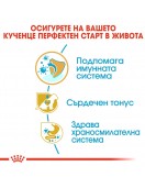 Royal Canin Cavalier King Charles Puppy - Сухи храни