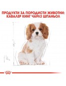 Royal Canin Cavalier King Charles Puppy - Сухи храни