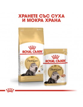 Royal Canin Persian Adult