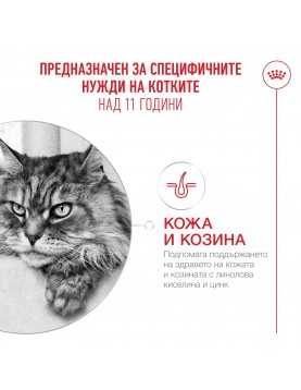 Royal Canin Ageing Cat 11 + 