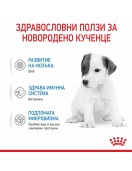 Royal Canin Babydog milk - Сухи млека