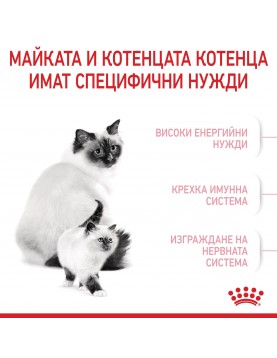 Royal Canin Mother & Babycat 