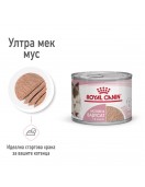 Royal Canin Mother & Babycat Pate - 195г - Консервирани храни