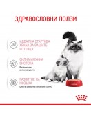 Royal Canin Mother & Babycat Pate - 195г - Консервирани храни