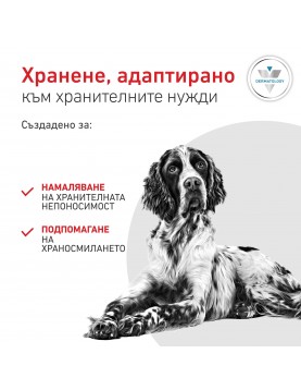 Royal Canin VHN Canine Hypoallergenic - консерва 200г 