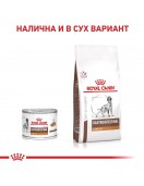 Royal Canin VHN Canine Gastrointestinal Low Fat - консерва 410г - Грижа за храносмилането