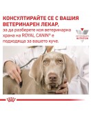 Royal Canin VHN Canine Gastrointestinal Low Fat - консерва 410г - Грижа за храносмилането