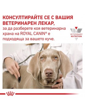 Royal Canin VHN Canine Gastrointestinal Low Fat - консерва 200г 