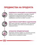 Royal Canin VHN Canine Renal - консерва 410г - Грижа за бъбреците и уринарния тракт
