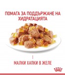 Royal Canin Care Hairball Cat Pouch Грижа за храносмилането