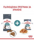 Royal Canin Care Hairball Cat Pouch Грижа за храносмилането