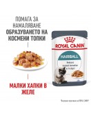 Royal Canin Care Hairball Cat Pouch Грижа за храносмилането