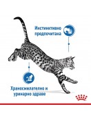 Royal Canin Indoor Sterilised Pouch Gravy - 85г Грижа при наднормено тегло
