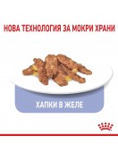 Royal Canin Indoor Sterilised Pouch Gravy - 85г Грижа при наднормено тегло