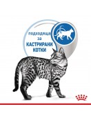 Royal Canin Indoor Sterilised Pouch Gravy - 85г Грижа при наднормено тегло
