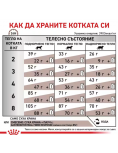 Royal Canin VHN Feline Gastrointestinal Fibre Response