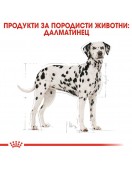 Royal Canin Dalmatian Adult - Сухи храни