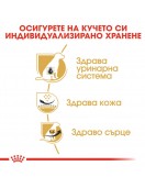 Royal Canin Dalmatian Adult - Сухи храни
