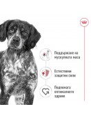 Royal Canin Medium Adult Pouch - 