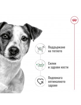 Royal Canin Mini Adult Pouch 