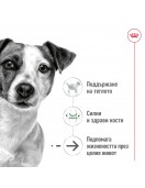 Пауч за кучета Royal Canin Mini Ageing 12+ - Консервирани храни