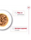 Пауч за кучета Royal Canin Mini Ageing 12+ - Консервирани храни