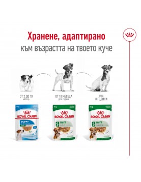 Пауч за кучета Royal Canin Mini Ageing 