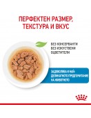 Royal Canin Puppy Mini Pouch - Консервирани храни