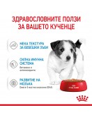 Royal Canin Puppy Mini Pouch - Консервирани храни
