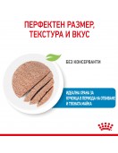 Royal Canin Starter Mother & Babydog Pate - консерва 195г - Консервирани храни