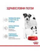 Royal Canin Starter Mother & Babydog Pate - консерва 195г - Консервирани храни