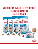 Royal Canin Starter Mother & Babydog Pate - консерва 195г - Консервирани храни