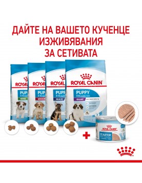 Royal Canin Starter Mother & Babydog Pate - консерва 195г