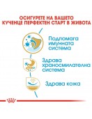 Royal Canin French Bulldog Puppy - Сухи храни