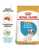 Royal Canin French Bulldog Puppy - Сухи храни