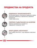 Royal Canin VHN Feline Gastrointestinal Moderate Calorie - Грижа за храносмилането