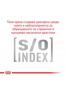 Royal Canin VHN Feline Gastrointestinal Moderate Calorie - Грижа за храносмилането