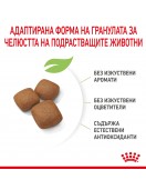 Royal Canin Giant Junior - Сухи храни