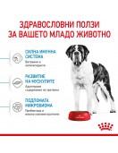 Royal Canin Giant Junior - Сухи храни