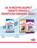 Royal Canin Giant Junior - Сухи храни