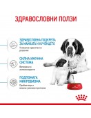 Royal Canin Giant Starter - Сухи храни