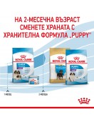 Royal Canin Giant Starter - Сухи храни