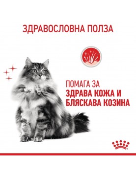 Royal Canin Care Cat Hair & Skin 
