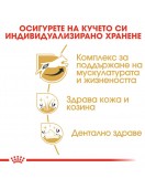 Royal Canin Jack Russel Terrier Adult - Сухи храни