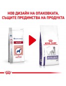 Royal Canin Mature Consult Dog - Сухи храни