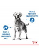 Royal Canin Care Dog Maxi Light Weight - Сухи храни