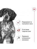 Royal Canin Medium Adult 7+ - Сухи храни