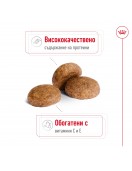 Royal Canin Medium Adult 7+ - Сухи храни